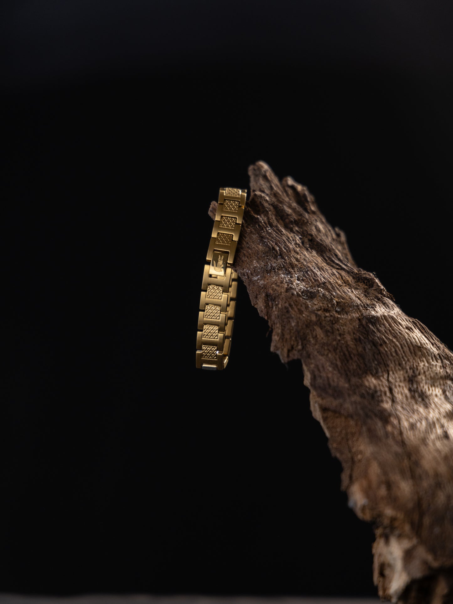 Lacoste Link Bracelet